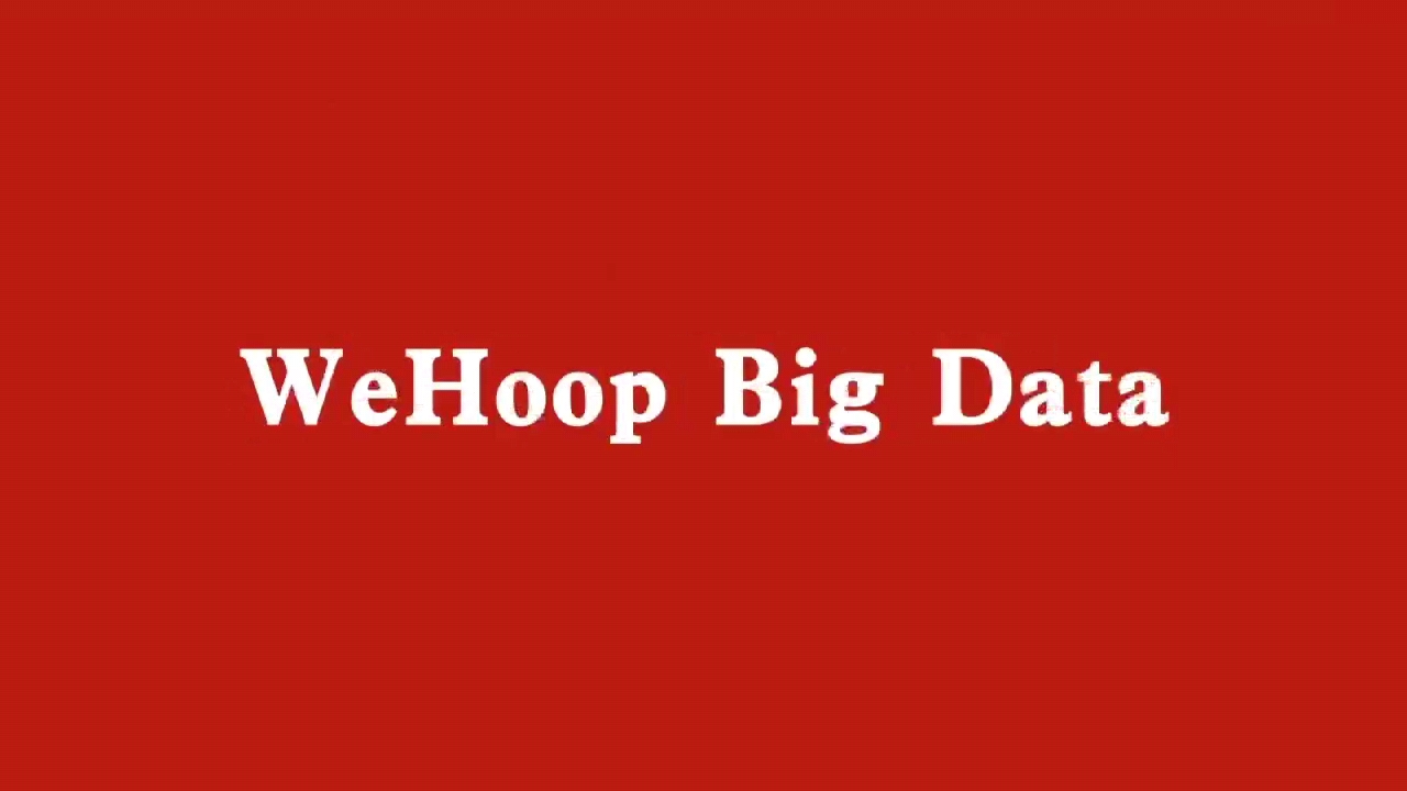WeHoop2020年大数据白皮书